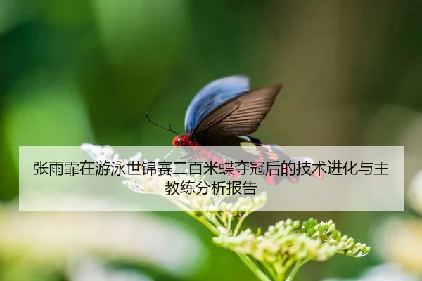 张雨霏在游泳世锦赛二百米蝶夺冠后的技术进化与主教练分析报告